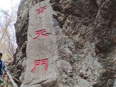 -天女山森林公园
