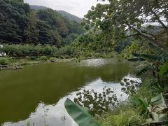 -深圳仙湖植物园