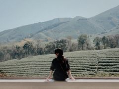 -白茶原·一片叶子