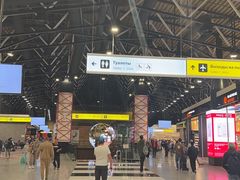 -谢列梅捷沃国际机场