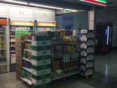 -大剧院(地铁站)