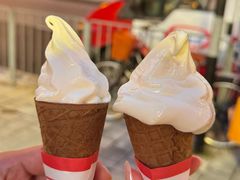 -富豪雪糕车流动点(尖沙咀店)