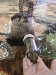 -Zoolung Zoolung动物主题公园(海信广场店)