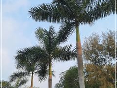 -广州市白云山风景名胜区