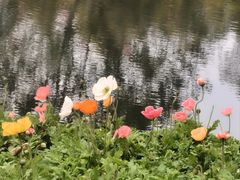 -云溪植物园