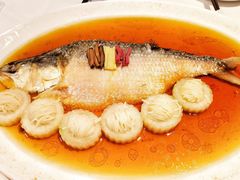 招牌中式清蒸鲥鱼-苏浙总会(国金中心店)