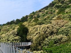 -大余丫山旅游度假区
