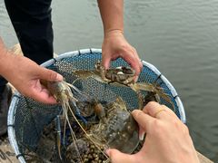 -七的湖·江南蟹舫·阳澄湖农家菜(蟹舫苑店)
