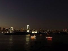-台场海滨公园船码头
