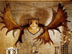 -秃鹫湾·推理大师沉浸式实景演绎推理剧场