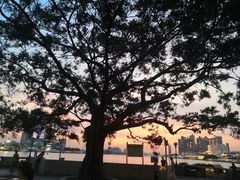 -洲头咀公园