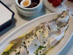 招牌清蒸钱塘江白条-柳莺湖上·湖景餐厅·江南菜(西湖店)