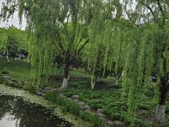 -桐乡植物园