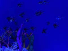 -上海海昌海洋公园