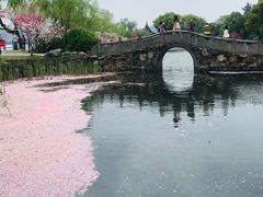 -无锡蠡湖国家湿地公园-蠡园