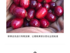 -Again Coffee Roaster(香蜜湖店)