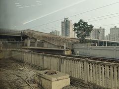 -塘沽站