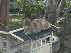 -青藏高原野生动物园