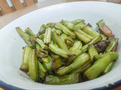 -合肥野生动物园