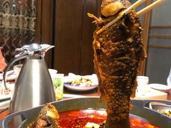 -老木瓜(同心路店)