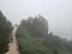 -牛背梁国家森林公园