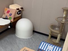 -瑞鹏宠物医院·骨科·猫科·内科(第一中心)