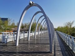 -大兴滨河森林公园