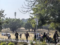 -东莞植物园