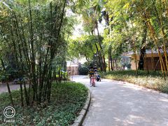 -晓港公园