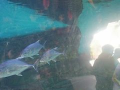 -横店影视城梦幻谷园区