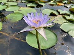 -华南国家植物园-售票处