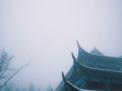 -武陵山森林公园