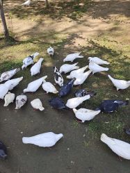 -玄武湖景区-情侣园游乐场