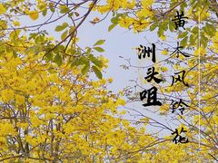 -洲头咀公园