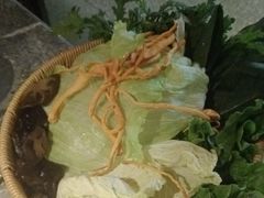 -麻路成都火锅(柏威年店)