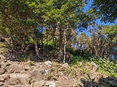 -梧桐山风景名胜区