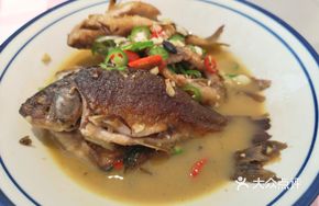 Spring Water Carp
