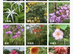 -中国科学院西双版纳热带植物园