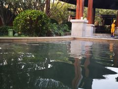 -思念果岭悦温泉