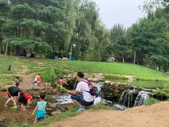 -长白岛森林公园