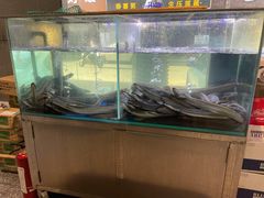 水产区-本炙炭烤·蒲烧活鳗料理店(金沙洲店)