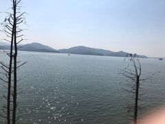 -天目湖山水园