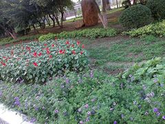 android_upload_pic-辽宁大学(崇山校区)
