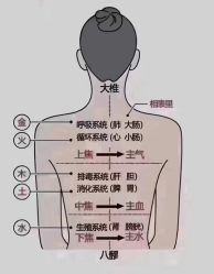 点击看大图 -丽减美瘦吧·减肥瘦身