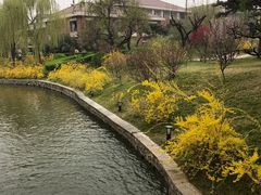 -钓鱼台国宾馆