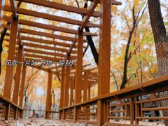 -北京石景山游乐园