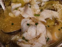 -姚姚酸菜鱼·金戈戈香港豉油鸡(喜荟城联名店)