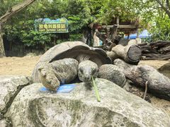 -广州长隆飞鸟乐园