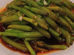 炝拌黄花-凯鸽酒楼(大同振兴街店)