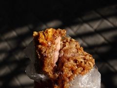 蛋黄肉粽-璐坊粽王(复兴中路店)